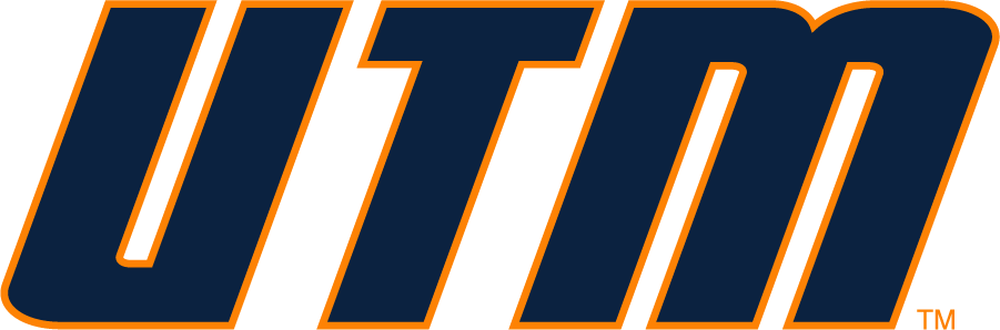 Tennessee-Martin Skyhawks 2007-2020 Wordmark Logo iron on transfers for T-shirts